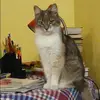 Отзыв от Антонина Орлова